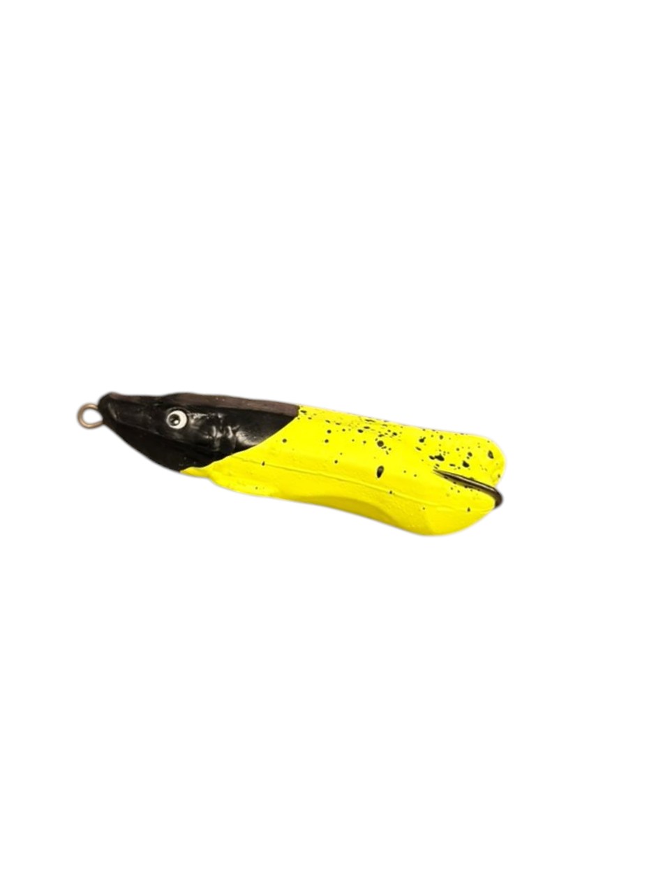 pirarucu amarelo cabeça preta