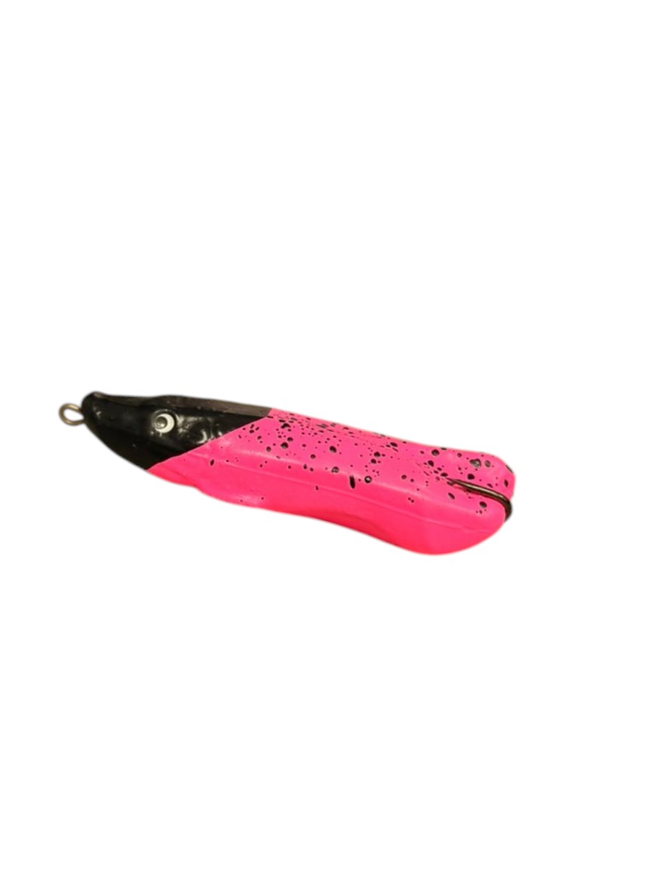 pirarucu rosa cabeça preta